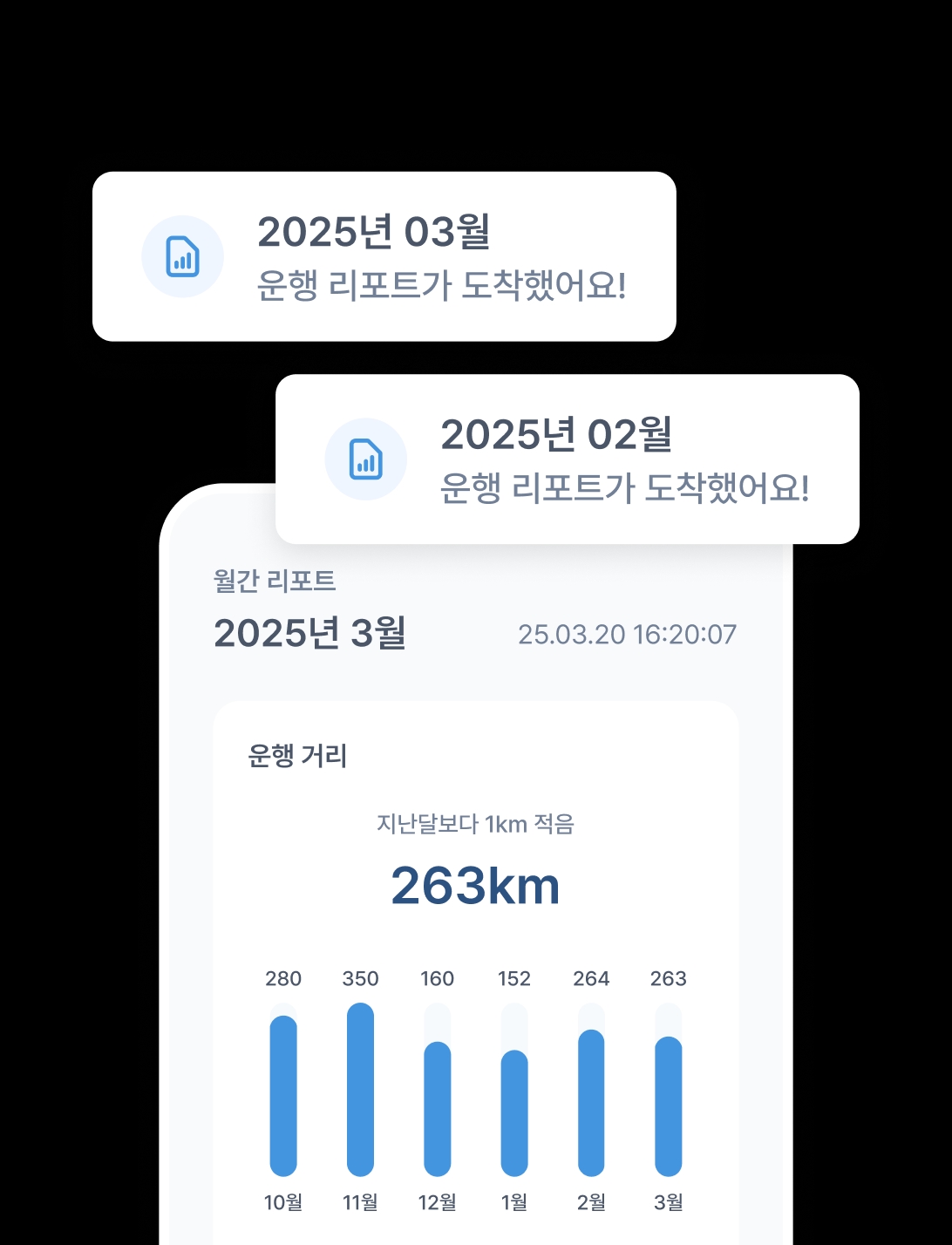 월간 리포트