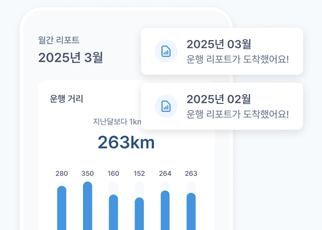 월간 리포트